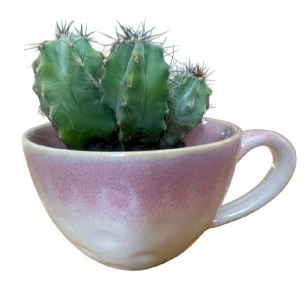 Upcycled Handmade Ceramic Face Mug Planter with Drainage Holes